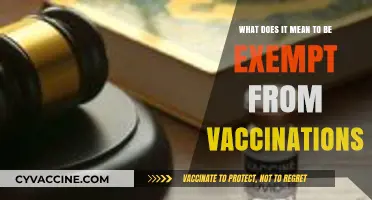 Understanding Vaccination Exemptions: Rights, Responsibilities, and Public Health Implications
