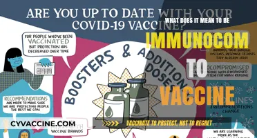 Understanding Immunocompromised Conditions and Vaccine Implications: A Comprehensive Guide