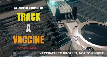 Fast-Tracking Vaccines: Understanding the Process and Its Implications