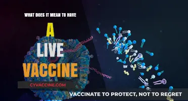 Understanding Live Vaccines: How They Work and Why They Matter