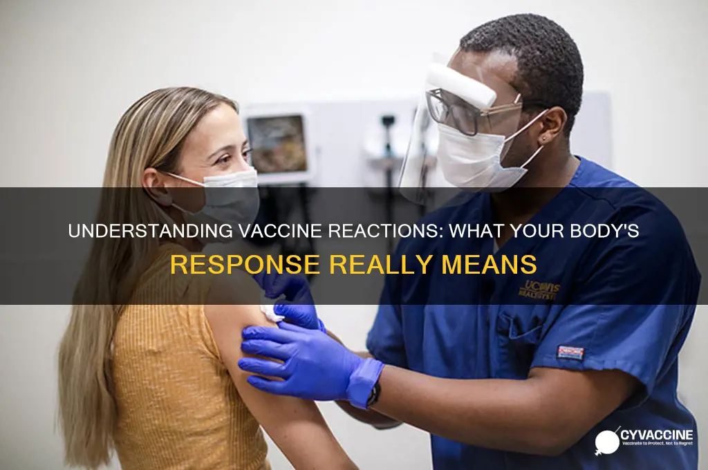 what does it mean when your body reacts to vaccine
