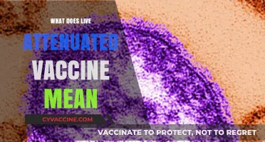 Understanding Live Attenuated Vaccines: How They Work and Why They Matter