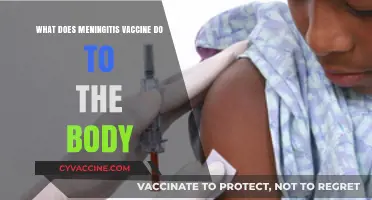 Understanding Meningitis Vaccine: How It Protects Your Body and Boosts Immunity