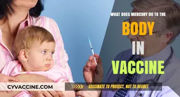 Mercury in Vaccines: Uncovering Its Effects on the Human Body