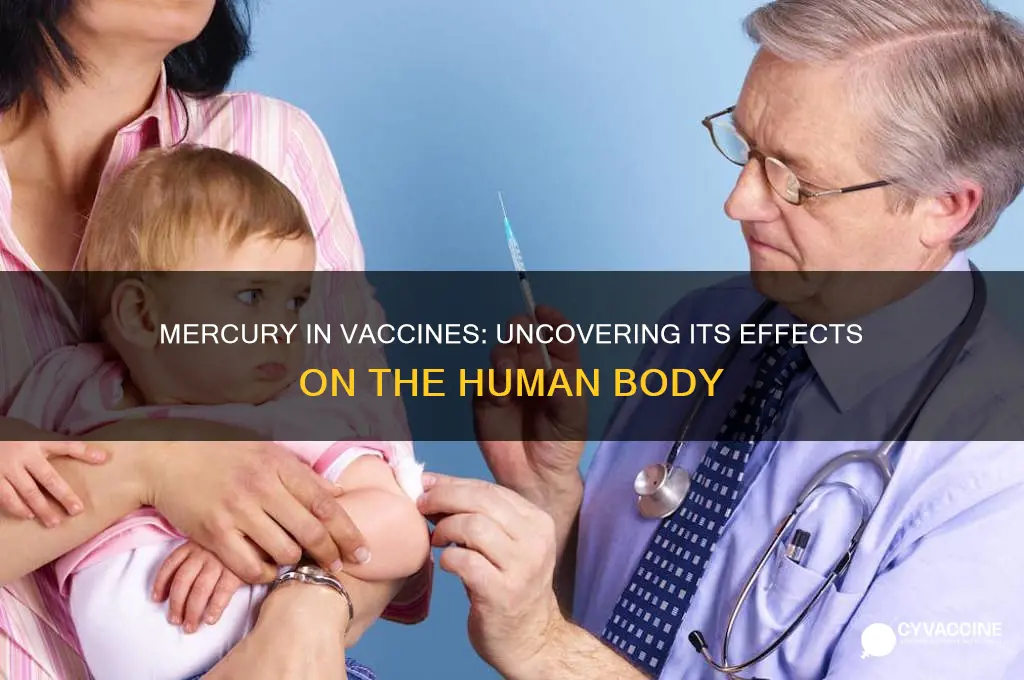 what does mercury do to the body in vaccine