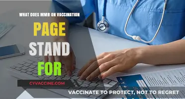 Understanding MMR: Decoding the Meaning on Your Vaccination Record