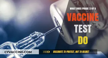 Unveiling Vaccine Safety: Understanding Phase 2 Clinical Trial Objectives
