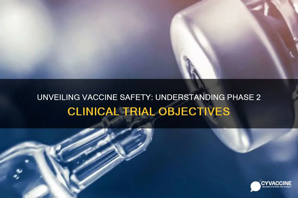 what does phase 2 of a vaccine test do