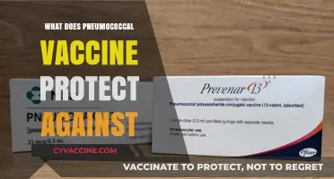 Pneumococcal Vaccine: Shielding Against Serious Bacterial Infections and Complications