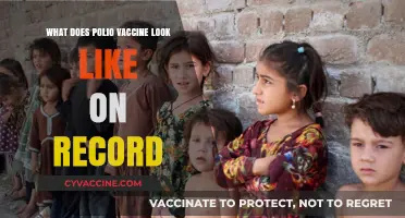 Polio Vaccine Documentation: Appearance, Records, and Verification Explained