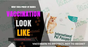 Understanding Proof of Rabies Vaccination: What Documents to Expect
