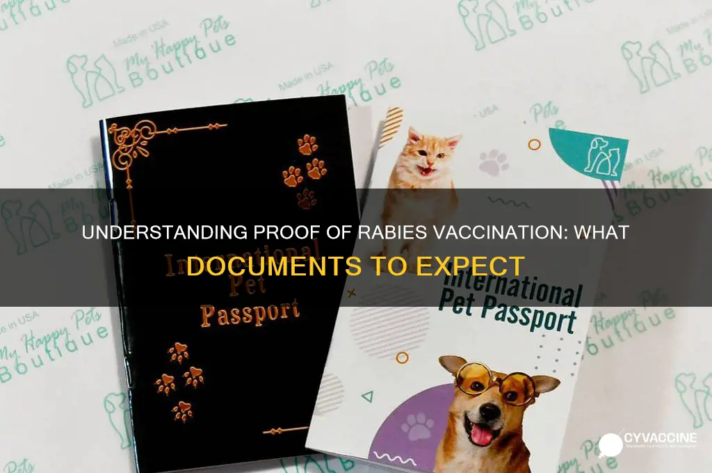 what does proof of rabies vaccination look like