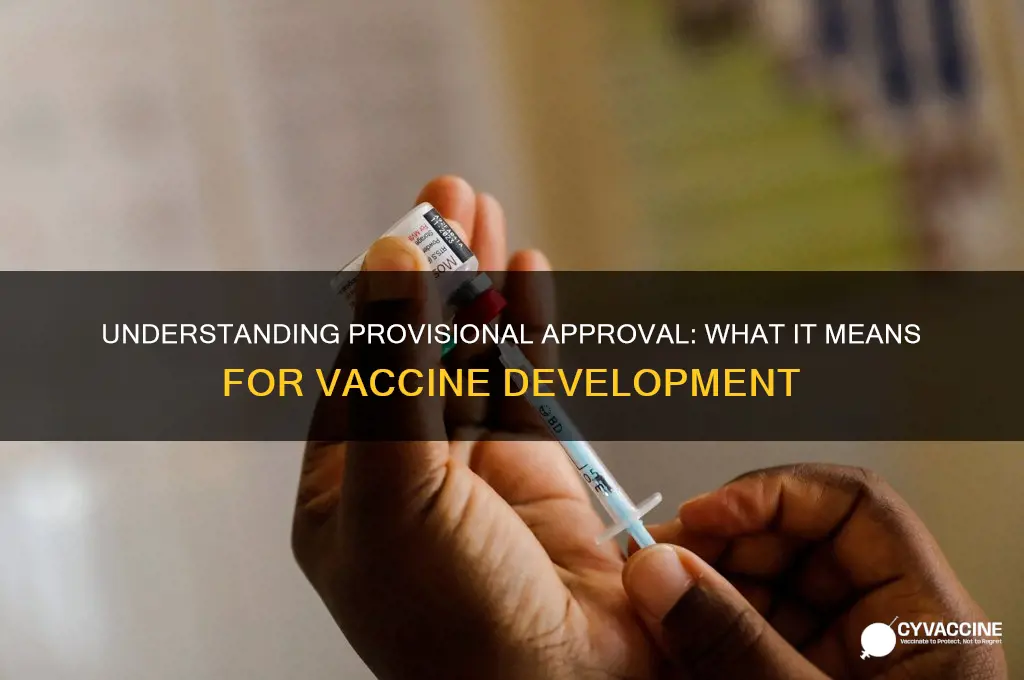 what does provisional approval mean for a vaccine