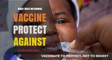 Rotavirus Vaccine: Shielding Against Severe Diarrhea and Dehydration in Infants