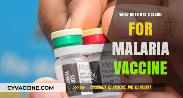 Understanding RTS,S: The Groundbreaking Malaria Vaccine Explained