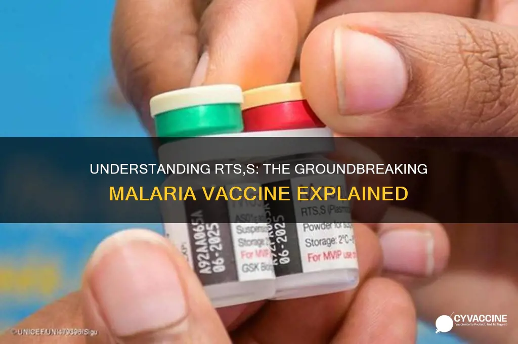 what does rts s stand for malaria vaccine