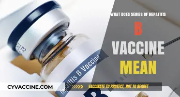 Understanding the Hepatitis B Vaccine Series: What It Means for You