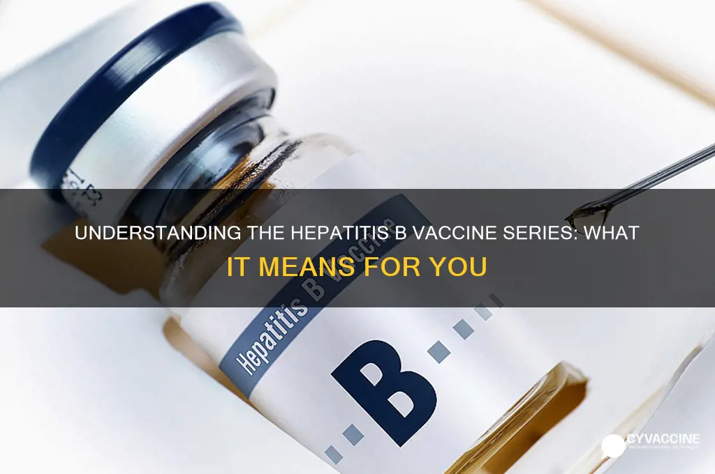 what does series of hepatitis b vaccine mean