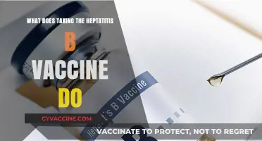 Hepatitis B Vaccine: Benefits, Protection, and Long-Term Immunity Explained