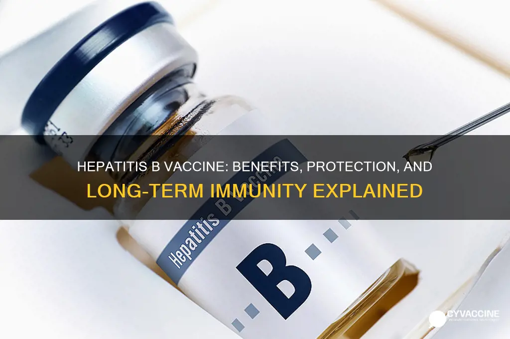 what does taking the heptatitis b vaccine do