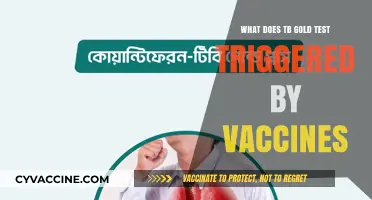 Vaccines and TB Gold Test: Understanding False Positives and Triggers