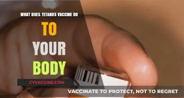 How Tetanus Vaccine Protects Your Body: Essential Insights Explained