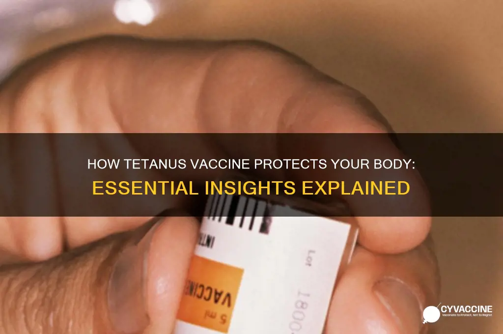 what does tetanus vaccine do to your body