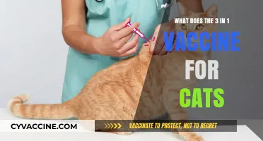Understanding the 3-in-1 Vaccine for Cats: Benefits and Importance