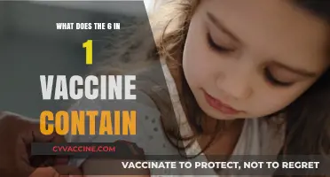 Understanding the 6-in-1 Vaccine: Components and Their Importance