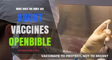 Biblical Perspectives on Vaccines: Exploring OpenBible's Insights and Guidance