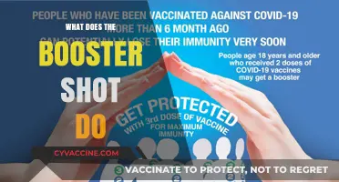 Understanding Booster Shots: Enhancing Immunity and Protection Against Diseases