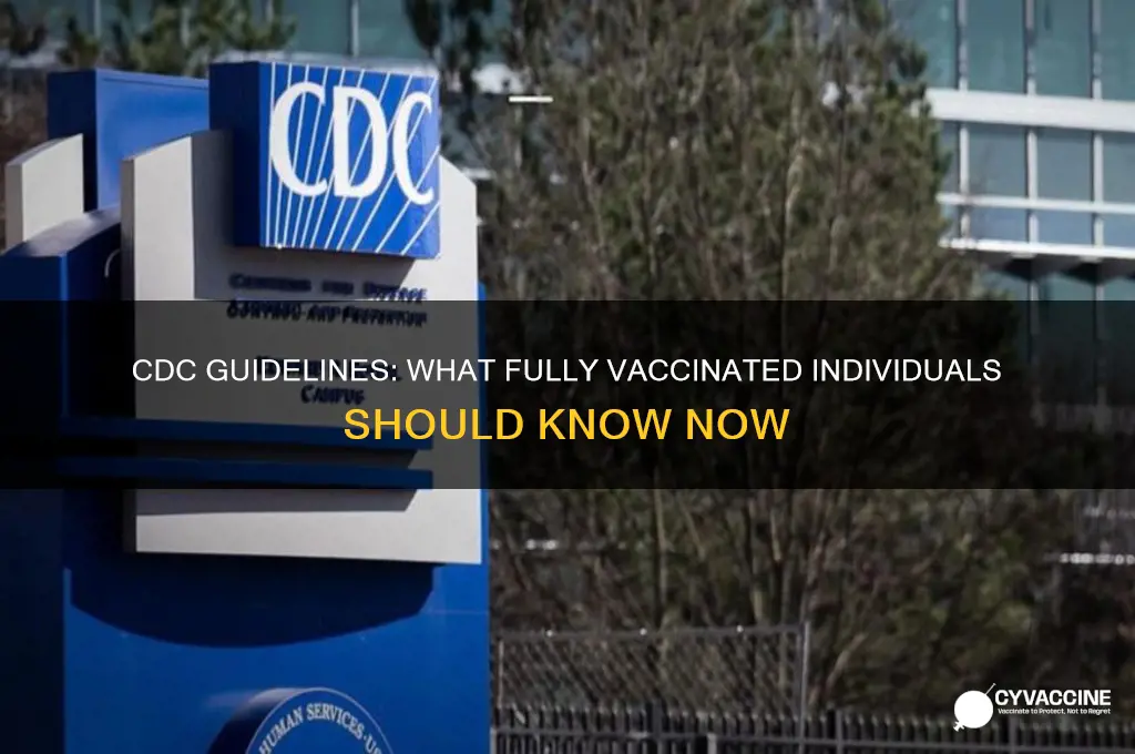 what does the cdc recommend for fully vaccinated individuals