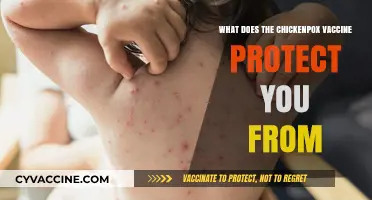 Chickenpox Vaccine: Shielding Against Complications and Long-Term Health Risks