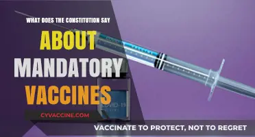 Constitutional Insights: Mandatory Vaccines and Individual Rights Explored