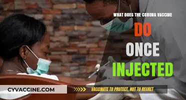 How the COVID-19 Vaccine Works: Unlocking Immune System Protection