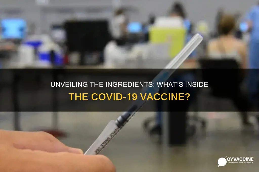 what does the corona vaccine have in it