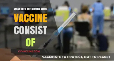 Understanding the COVID-19 Vaccine: Ingredients and Composition Explained