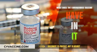 Understanding the Ingredients in the Coronavirus Vaccine: A Comprehensive Guide