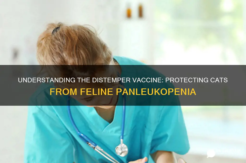 what does the distemper vaccine do for cats