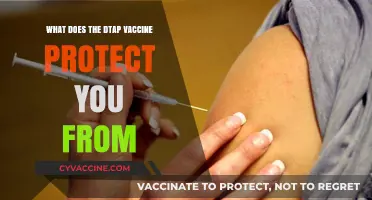 DTaP Vaccine: Shielding Against Diphtheria, Tetanus, and Pertussis Infections