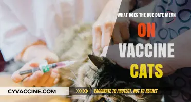 Understanding Your Cat's Vaccine Due Date: Importance and Timely Care