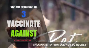Focus Cat Vax 3: Protecting Against Feline Panleukopenia, Rhinotracheitis, and Calicivirus
