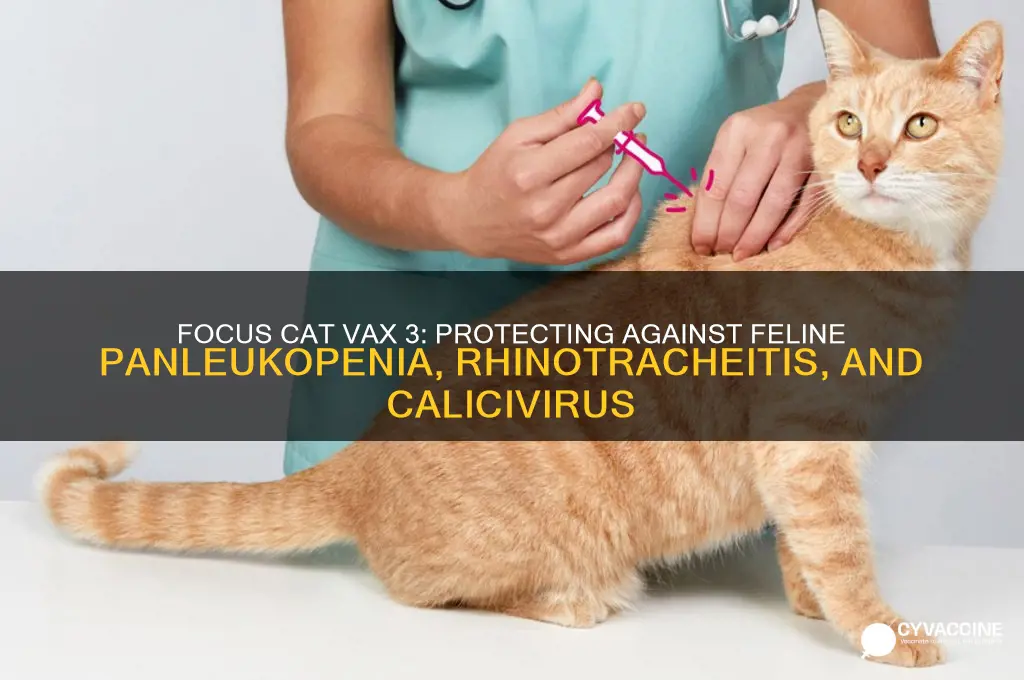 what does the focus cat vax 3 vaccinate against