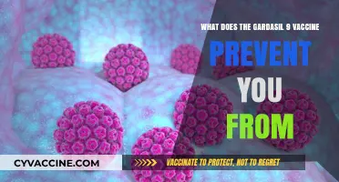 Gardasil 9 Vaccine: Protecting Against HPV-Related Cancers and Diseases