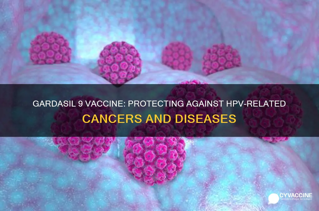 what does the gardasil 9 vaccine prevent you from