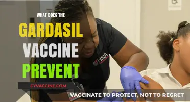 Gardasil Vaccine: Preventing HPV-Related Cancers and Diseases Effectively
