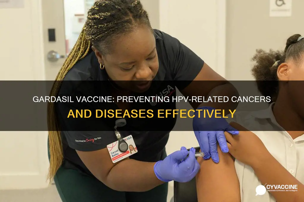what does the gardasil vaccine prevent
