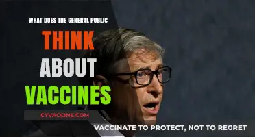 Public Opinion on Vaccines: Trust, Hesitancy, and Global Perspectives
