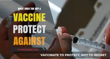 Hepatitis A Vaccine: Shielding Against Liver Infection and Its Risks