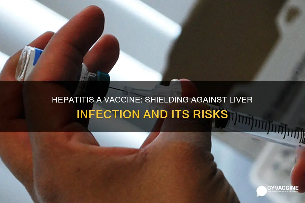 what does the hep a vaccine protect against